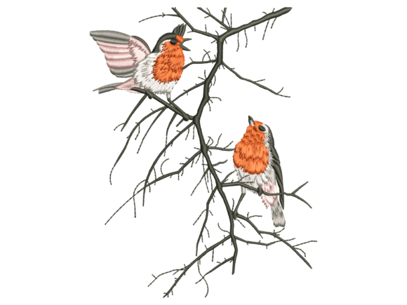 Robin Birds on Bare Branch Embroidery Review